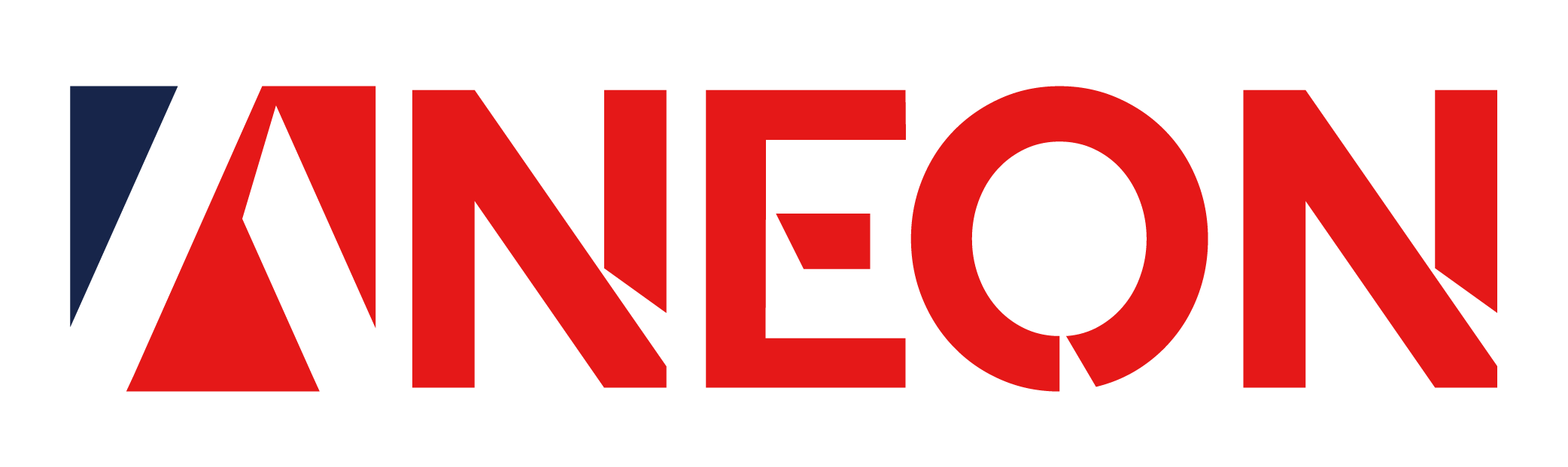 ANEON FEDERAL SOLUTIONS LLC.