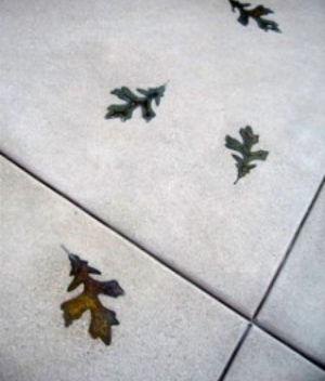 Terazzo-Floor-Bev-Hills1 (4)