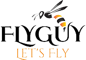 Flyguy Let's Fly